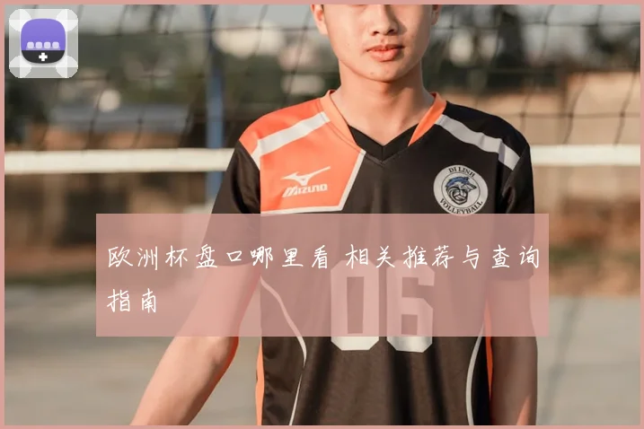 欧洲杯盘口哪里看 相关推荐与查询指南