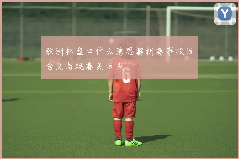 欧洲杯盘口什么意思解析赛事投注含义与观赛关注点