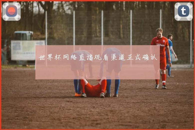 世界杯网络直播观看渠道正式确认