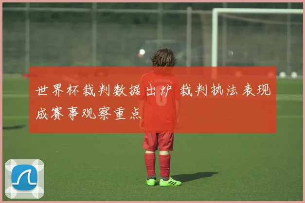 世界杯裁判数据出炉 裁判执法表现成赛事观察重点