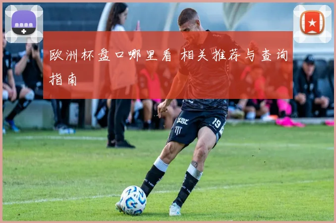 欧洲杯盘口哪里看 相关推荐与查询指南