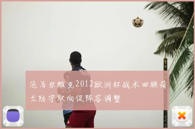 范马尔维克2012欧洲杯战术回顾荷兰防守取向促阵容调整